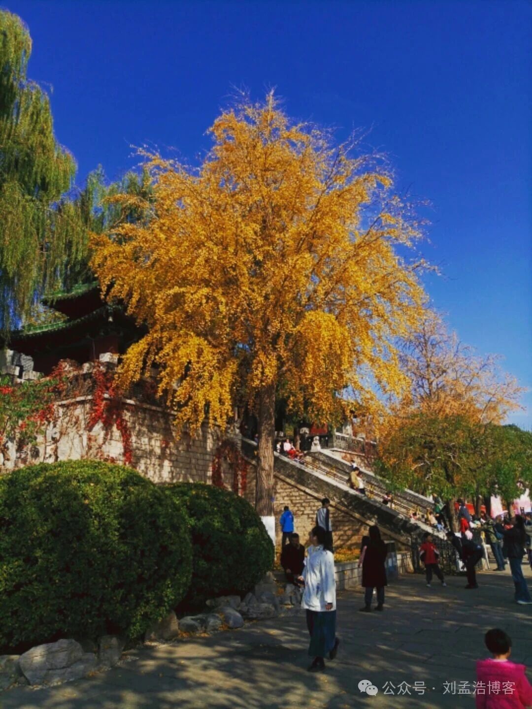 诗词：《北极阁初冬即景》