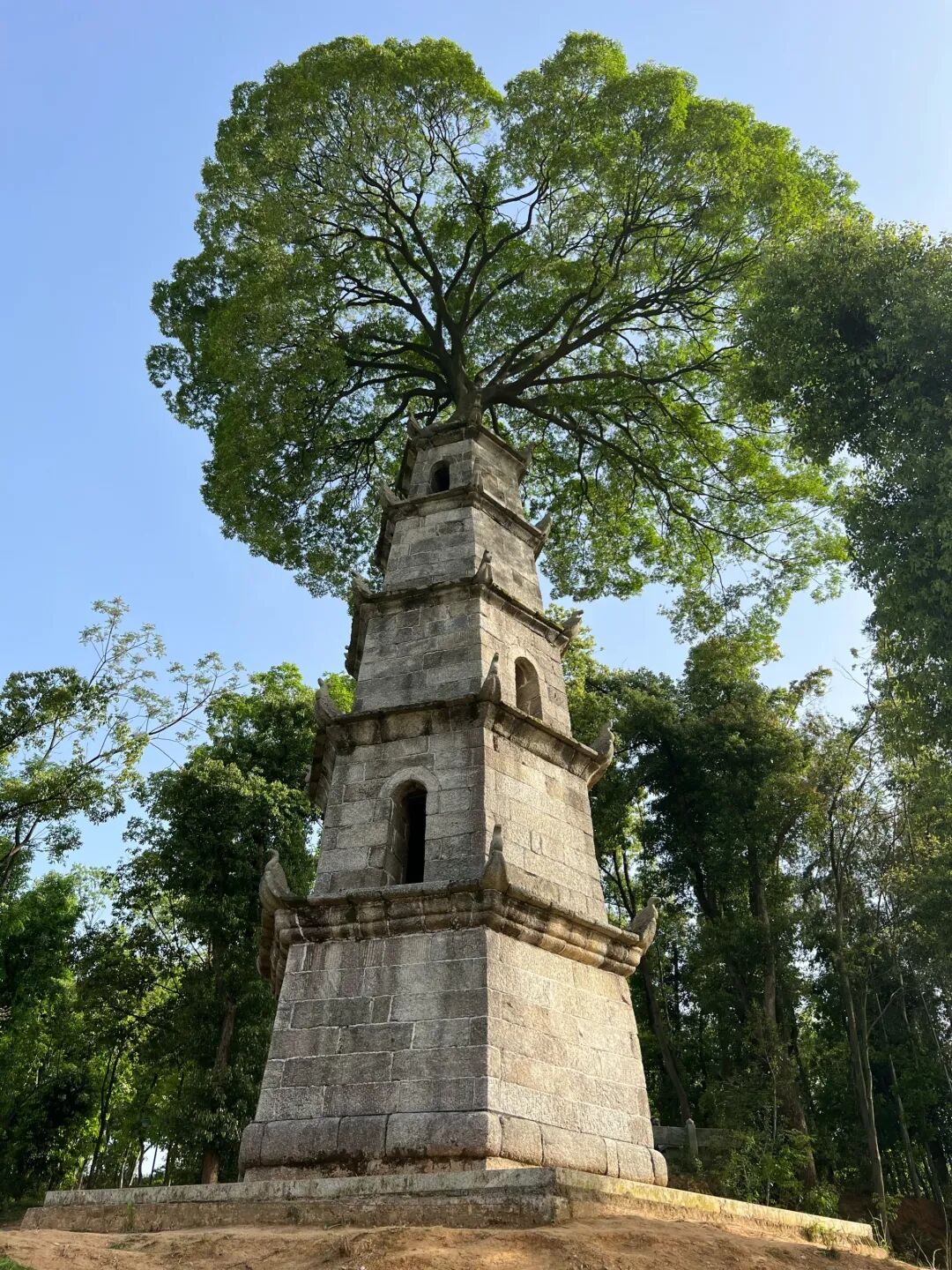 惜字塔前，敬惜之心安在？