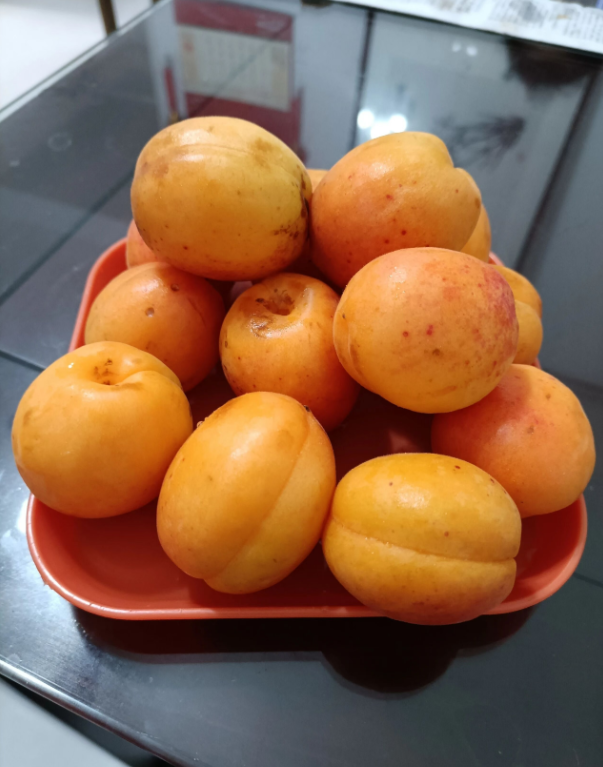 又到了吃杏的季节