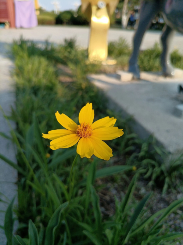 写点东西还是朴素一点好